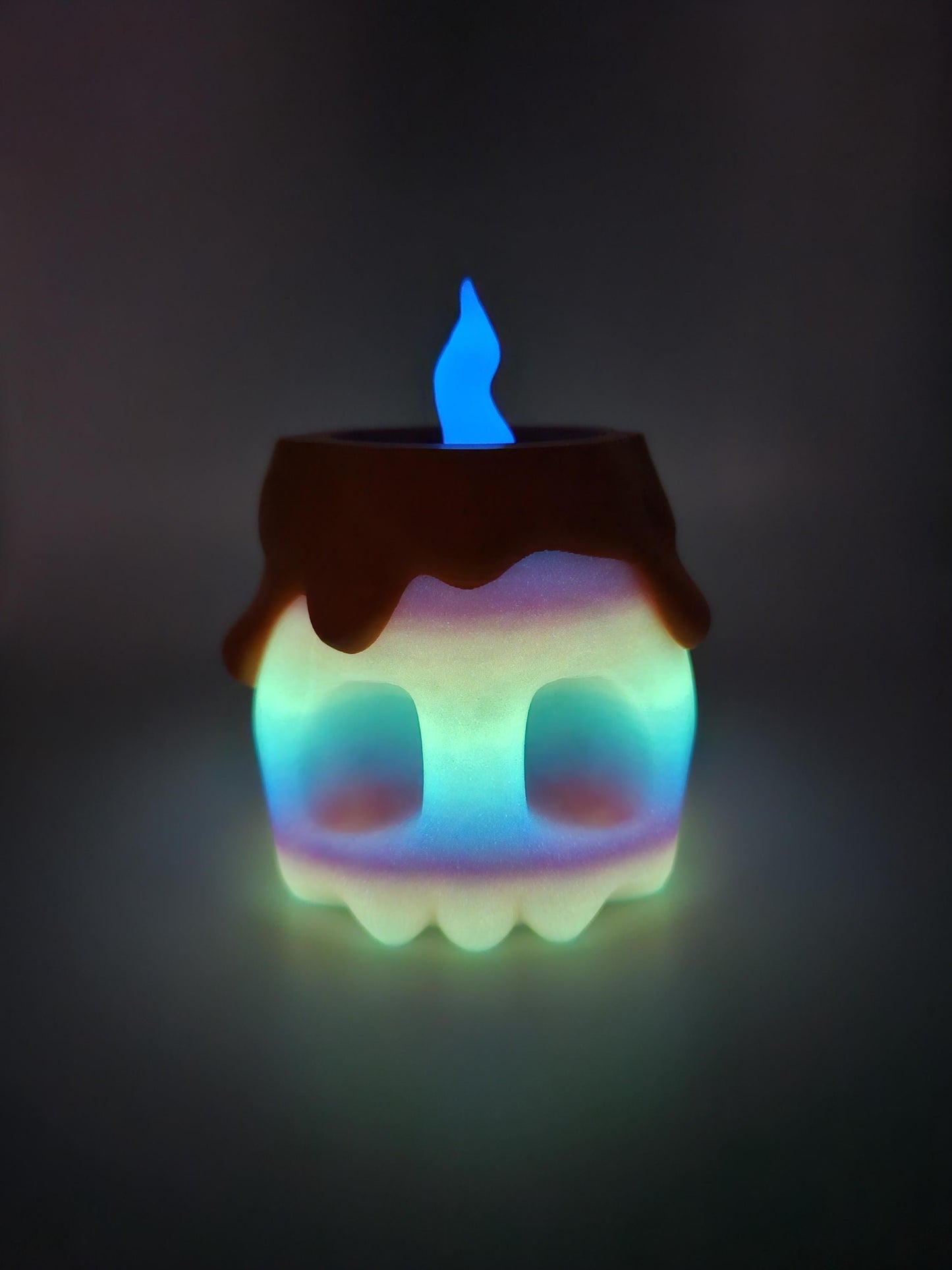 MYSTERY Halloween 10-Piece Pocket Pets in Halloween Skull Container