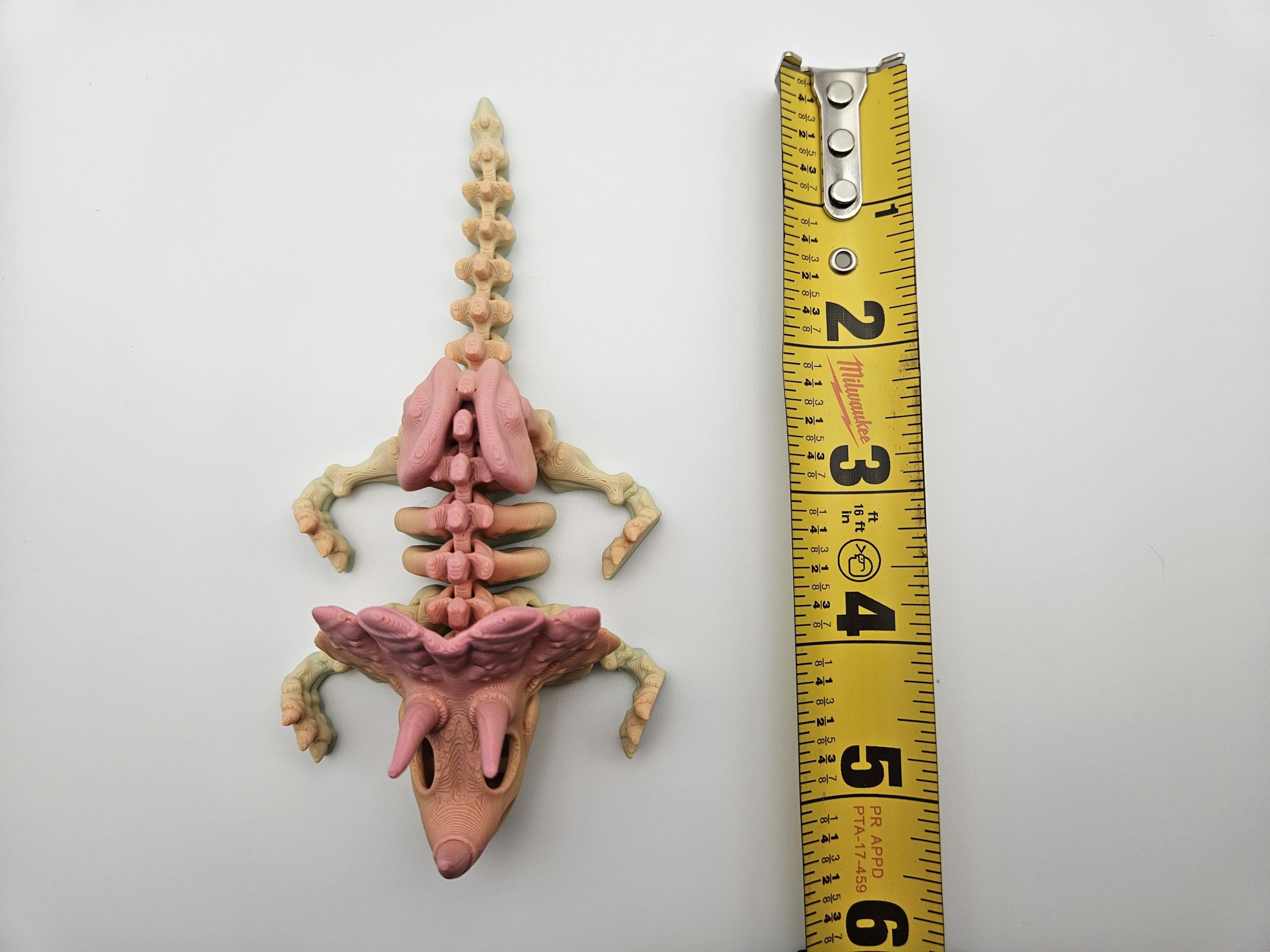 Rainbow Skeleton Triceratops