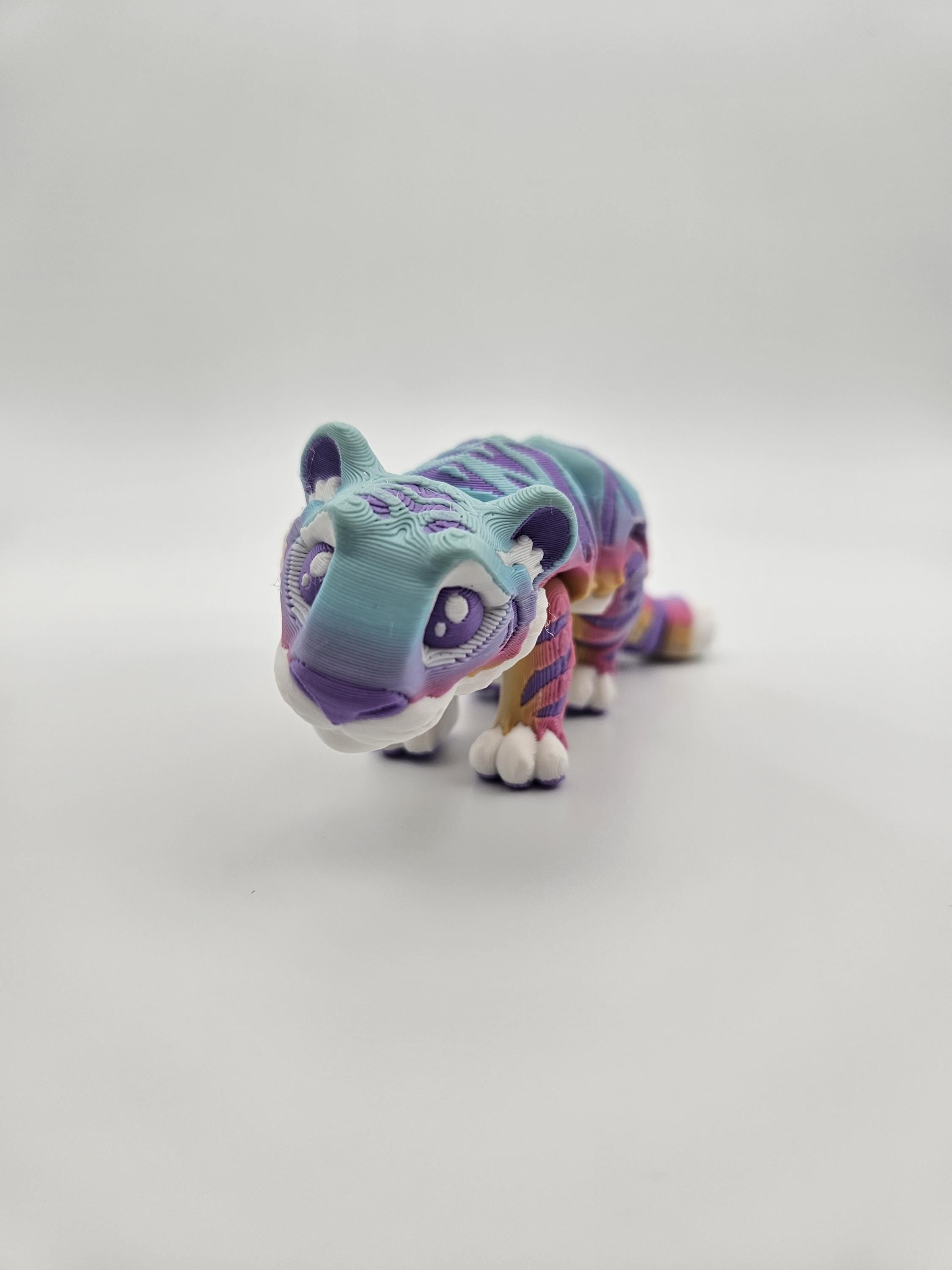 Rainbow Tiger