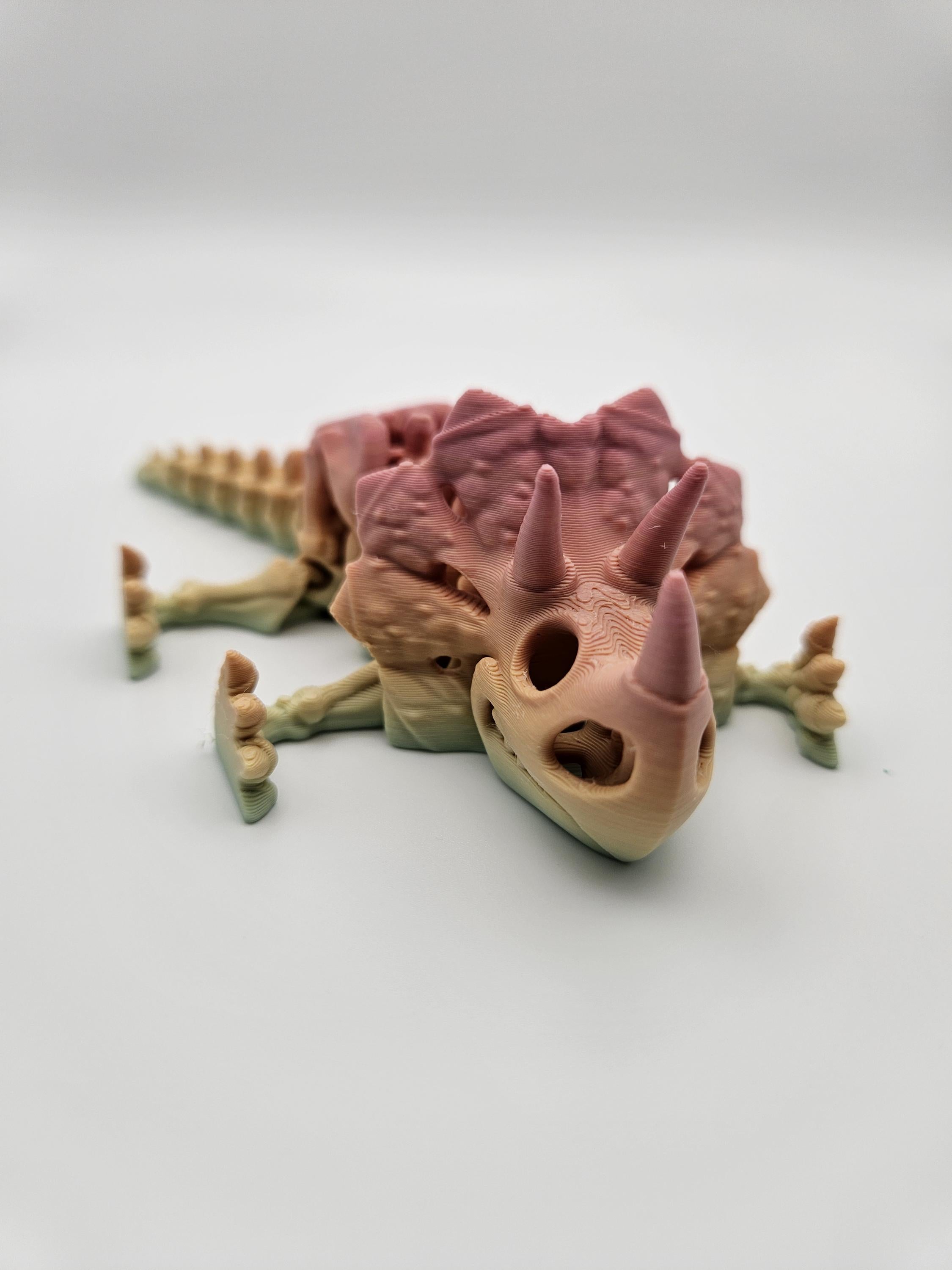 Rainbow Skeleton Triceratops