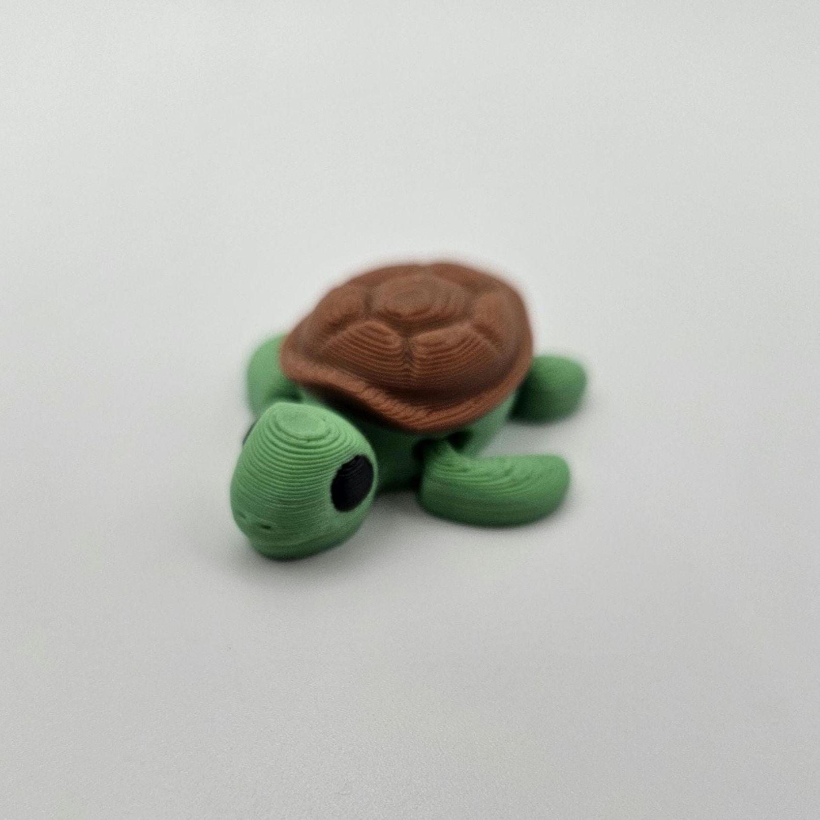 Ocean Pocko Pet Add Ons
