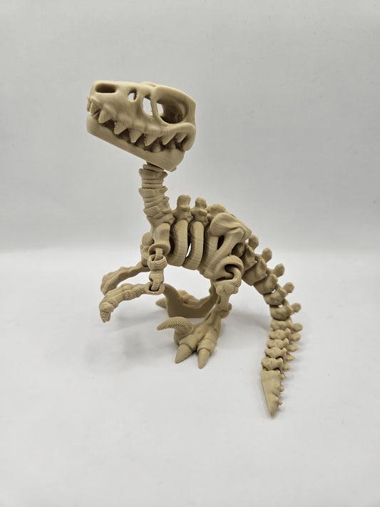Skeleton Raptor