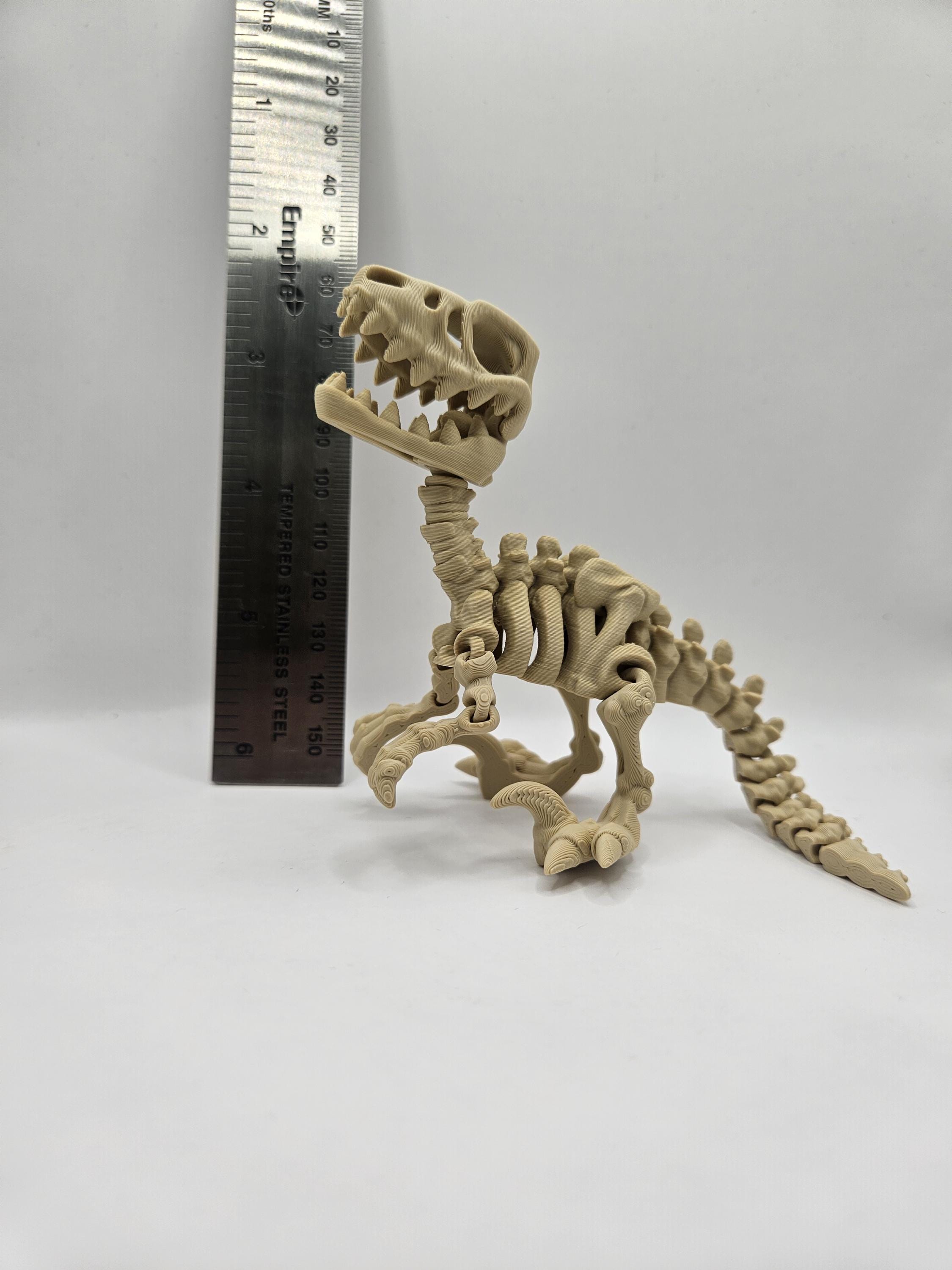 Skeleton Raptor