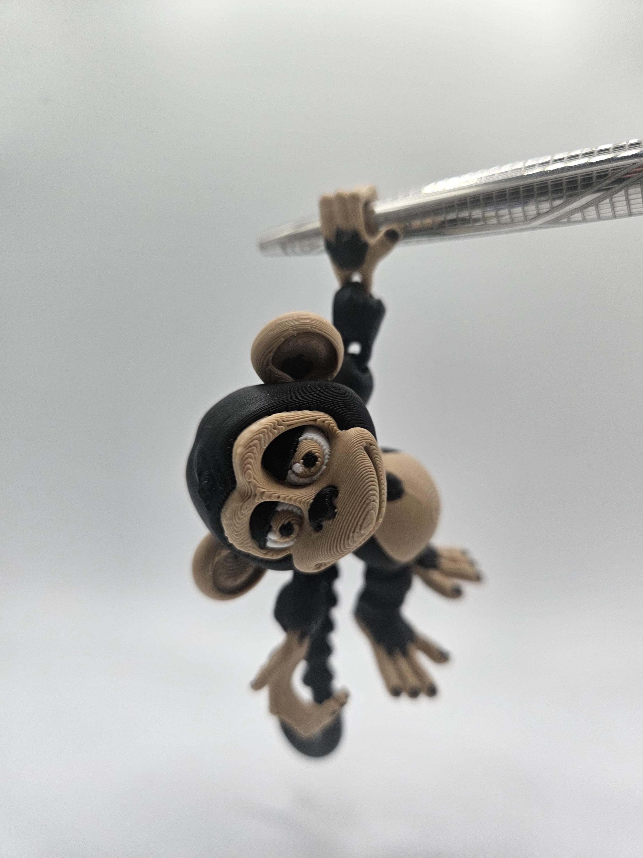 Monkey