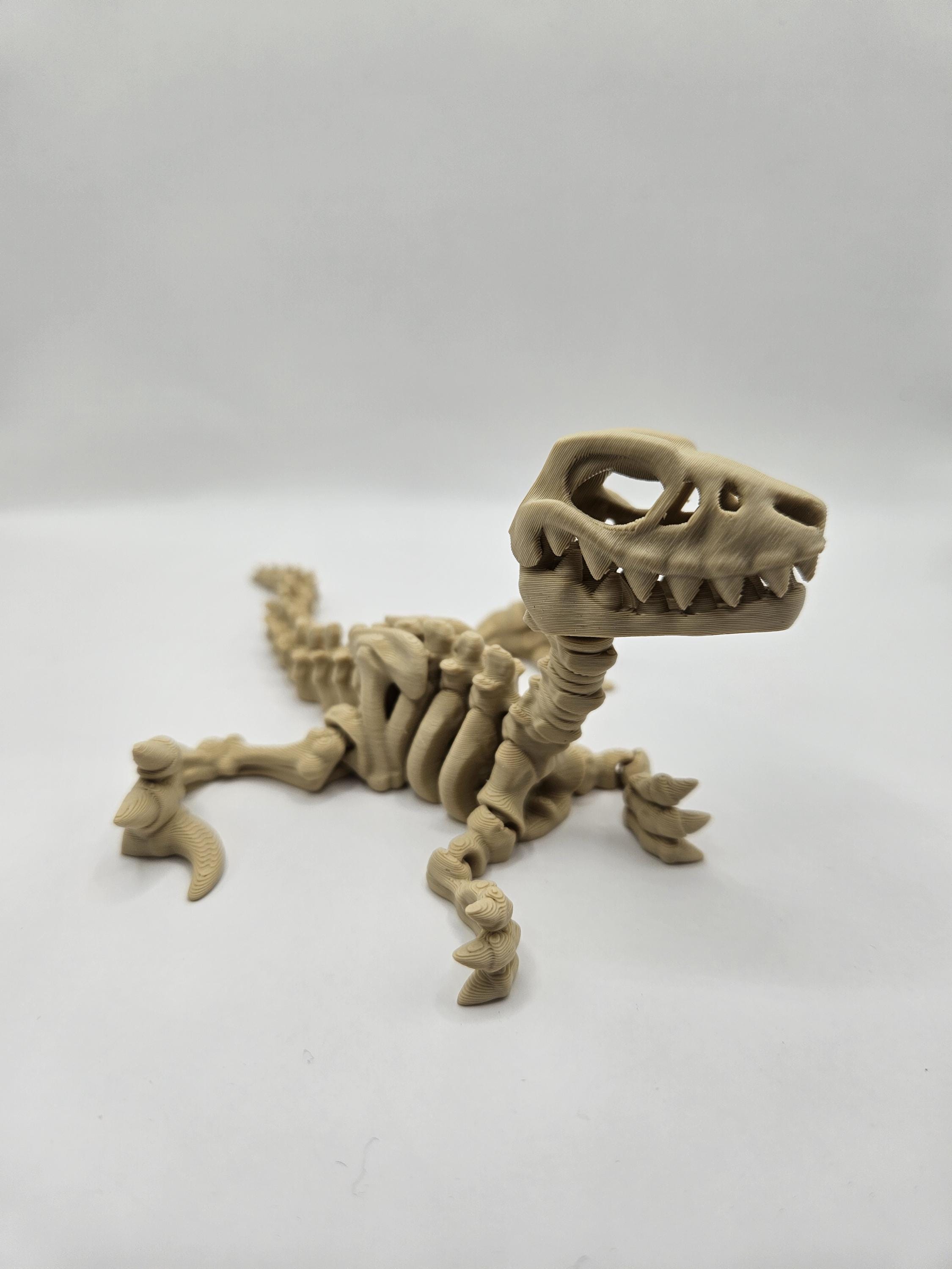 Skeleton Raptor
